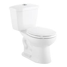 Dual Flush Toilet in a Box - TT2010WL
